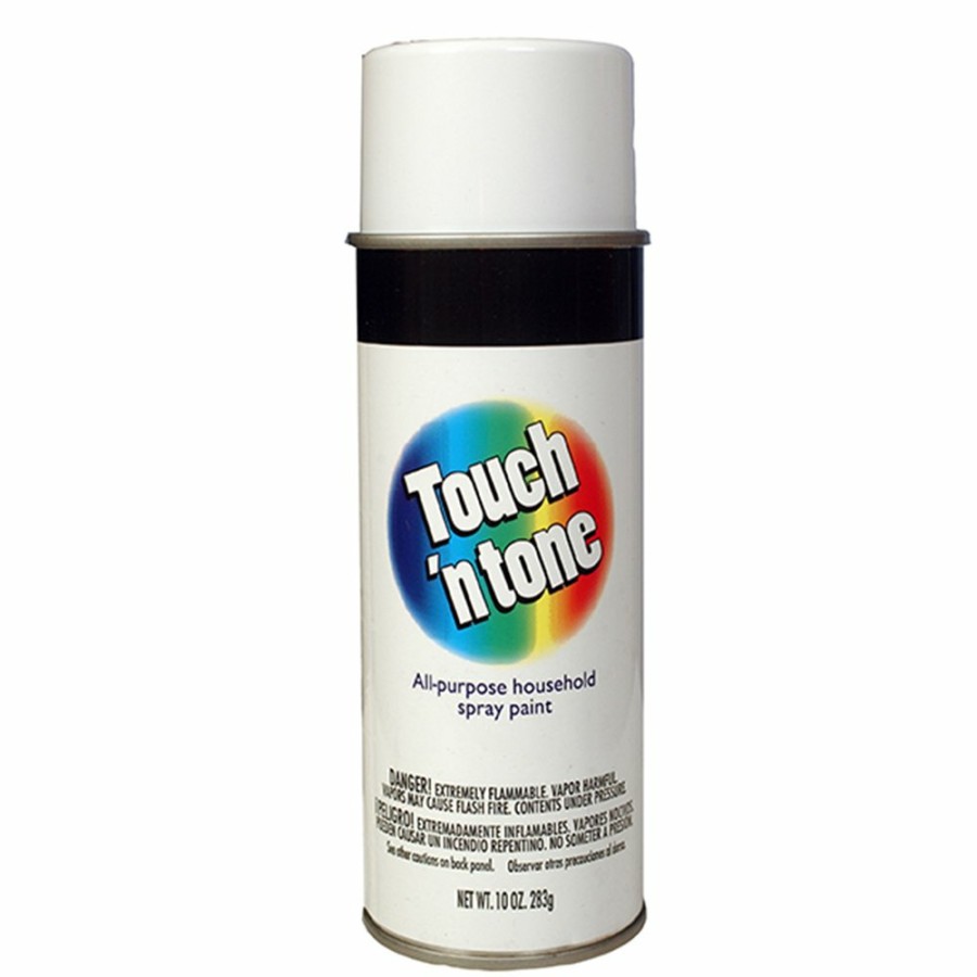 Spray Paint DAP | Touch 'N Tone Gloss White Spray Paint